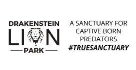 Drakenstein Lion Park - A sanctuary for captive born predators #TRUESANCTUARY